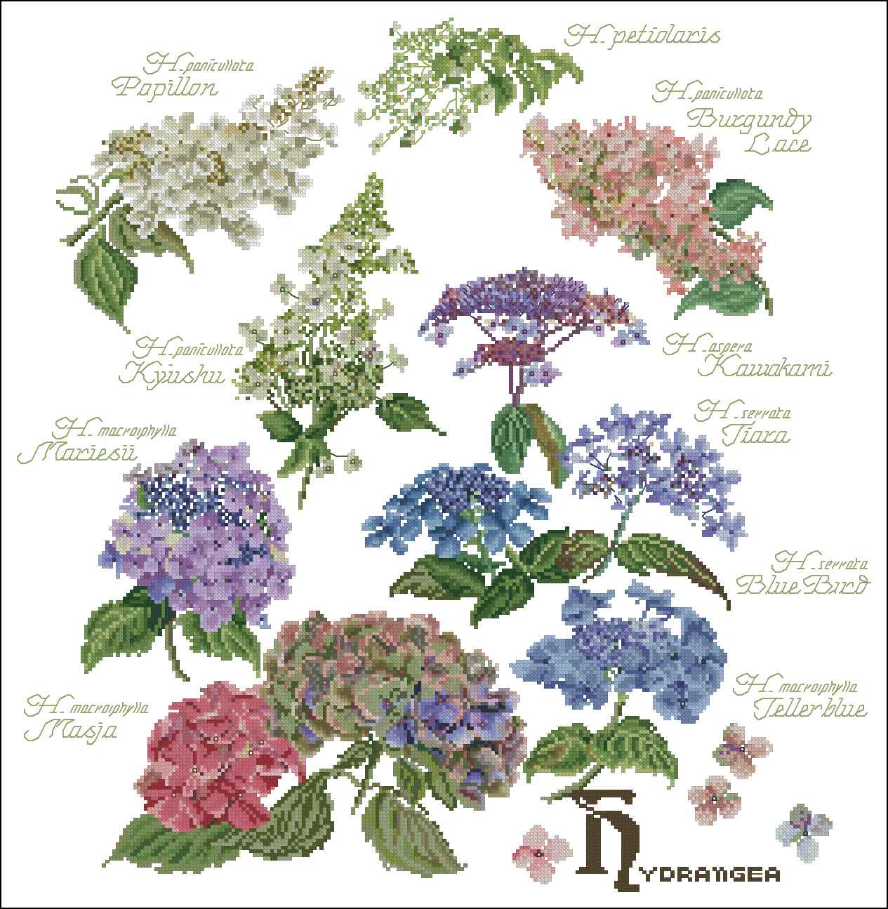 Кофточка с коротким рукавом спицами (Вязание спицами) Карта блога по вязанию Вяжем с Лана Ви